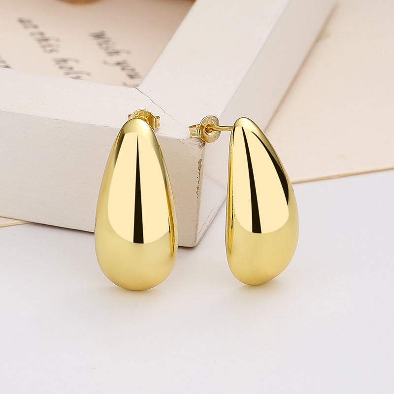 Water Drop Glossy Earrings