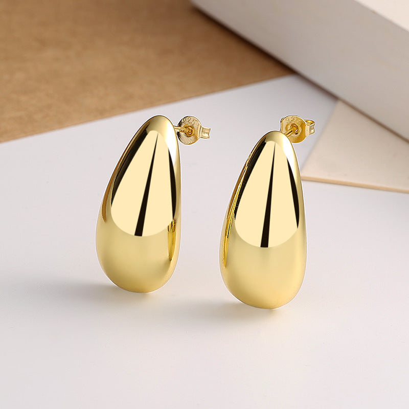 Water Drop Glossy Earrings
